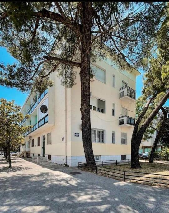Apartment Music-Center, In The Center Of Podgorica Exterior photo